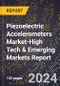 2024 Global Forecast for Piezoelectric Accelerometers Market (2025-2030 Outlook)-High Tech & Emerging Markets Report - Product Thumbnail Image