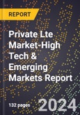 2024 Global Forecast for Private Lte Market (2025-2030 Outlook)-High Tech & Emerging Markets Report- Product Image