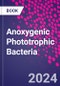 Anoxygenic Phototrophic Bacteria - Product Thumbnail Image