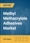 Methyl Methacrylate Adhesives Market Report 2025 - Product Thumbnail Image