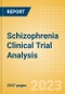 Schizophrenia Clinical Trial Analysis by Trial Phase, Trial Status, Trial Counts, End Points, Status, Sponsor Type, and Top Countries, 2023 Update - Product Thumbnail Image