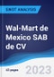 Wal-Mart de Mexico SAB de CV - Strategy, SWOT and Corporate Finance Report - Product Thumbnail Image