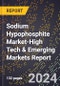 2024 Global Forecast for Sodium Hypophosphite Market (2025-2030 Outlook)-High Tech & Emerging Markets Report - Product Image