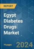 Egypt Diabetes Drugs - Market Share Analysis, Industry Trends & Statistics, Growth Forecasts 2018 - 2029- Product Image