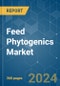 Feed Phytogenics - Market Share Analysis, Industry Trends & Statistics, Growth Forecasts 2017 - 2029 - Product Image