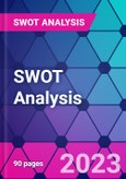 Comprehensive Report on Rackspace Technology, including SWOT, PESTLE and Business Model Canvas- Product Image