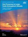 Fast Processes in Large-Scale Atmospheric Models. Progress, Challenges, and Opportunities. Edition No. 1. Geophysical Monograph Series- Product Image