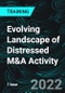 Evolving Landscape of Distressed M&A Activity - Product Thumbnail Image