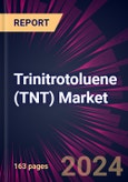 Trinitrotoluene (TNT) Market 2024-2028- Product Image