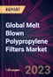 Global Melt Blown Polypropylene Filters Market 2023-2027 - Product Thumbnail Image