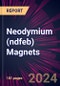 Neodymium (ndfeb) Magnets 2024-2028 - Product Thumbnail Image