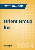 Orient Group Inc (600811) - Financial and Strategic SWOT Analysis Review- Product Image