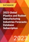 2023 Global Plastics and Rubber Manufacturing Industries Forecasts Database Subscription - Product Image