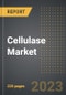 Cellulase Market (2023 Edition): Analysis By Source (Fungi, Bacteria, Cell Culture, Others), End-Use Industry, By Region, By Country: Market Insights and Forecast (2019-2029) - Product Thumbnail Image