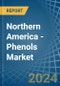 Northern America - Phenols - Market Analysis, Forecast, Size, Trends and Insights - Product Thumbnail Image