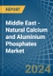 Middle East - Natural Calcium and Aluminium Phosphates - Market Analysis, Forecast, Size, Trends and Insights - Product Thumbnail Image