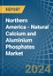 Northern America - Natural Calcium and Aluminium Phosphates - Market Analysis, Forecast, Size, Trends and Insights - Product Thumbnail Image