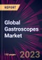 Global Gastroscopes Market 2023-2027 - Product Thumbnail Image
