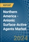 Northern America - Anionic Surface-Active Agents (Excluding Soap) - Market Analysis, Forecast, Size, Trends and Insights - Product Image