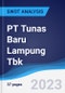 PT Tunas Baru Lampung Tbk - Company Profile and SWOT Analysis - Product Thumbnail Image