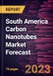 South America Carbon Nanotubes Market Forecast to 2028 -Regional Analysis - Product Thumbnail Image