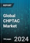 Global CHPTAC Market by End-use (Oil & Gas, Paper, Textile) - Forecast 2024-2030 - Product Thumbnail Image