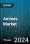 Amines Market by Product, Source, Application, Distribution - Global Forecast 2025-2030 - Product Image