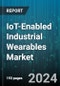 IoT-Enabled Industrial Wearables Market by Device Type, Component, Industry - Global Forecast 2025-2030 - Product Thumbnail Image