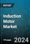 Induction Motor Market by Product Type, End-Use - Global Forecast 2025-2030 - Product Thumbnail Image