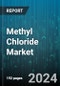 Methyl Chloride Market by Form, End-User Industries - Global Forecast 2025-2030 - Product Thumbnail Image