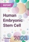 Human Embryonic Stem Cell Market Analysis & Forecast 2024-2034: Market By Application; By End-user; and By Region - Product Thumbnail Image