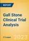 Gall Stone Clinical Trial Analysis by Phase, Trial Status, End Point, Sponsor Type and Region, 2023 Update - Product Thumbnail Image