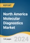 North America Molecular Diagnostics Market Size, Share & Trends Analysis Report By Product (Instruments, Reagents, Others), By Test Location, By Technology (PCR, ISH, INAAT, Sequencing), By Application, By Country, And Segment Forecasts, 2024 - 2030 - Product Thumbnail Image