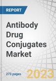 Antibody Drug Conjugates (ADC) Market by Product (Kadcyla, Enhertu, Padcev, Polivy), Linker Type (Cleavable, Non-Cleavable), Payload Type (Calicheamicin, MMAE), Target (HER2, CD30, CD22), Disease, and Region - Forecast to 2028- Product Image