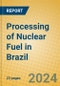 Processing of Nuclear Fuel in Brazil - Product Thumbnail Image