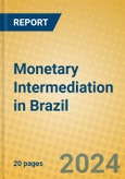 Monetary Intermediation in Brazil- Product Image