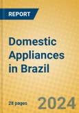 Domestic Appliances in Brazil- Product Image