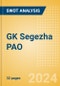 GK Segezha PAO (SGZH) - Financial and Strategic SWOT Analysis Review - Product Thumbnail Image