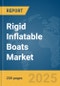 Rigid Inflatable Boats Market Report 2025 - Product Thumbnail Image