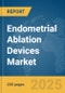 Endometrial Ablation Devices Market Report 2025 - Product Thumbnail Image