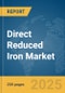 Direct Reduced Iron Market Report 2025 - Product Image