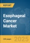 Esophageal Cancer Market Report 2025 - Product Thumbnail Image