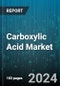 Carboxylic Acid Market by Product, Production Technology, Applicatiion - Global Forecast 2025-2030 - Product Thumbnail Image