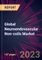 Global Neuroendovascular Non-coils Market 2024-2028 - Product Thumbnail Image