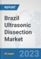 Brazil Ultrasonic Dissection Market: Prospects, Trends Analysis, Market Size and Forecasts up to 2030 - Product Thumbnail Image