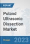 Poland Ultrasonic Dissection Market: Prospects, Trends Analysis, Market Size and Forecasts up to 2030 - Product Thumbnail Image