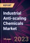 Industrial Anti-scaling Chemicals Market 2024-2028 - Product Thumbnail Image