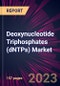 Deoxynucleotide Triphosphates (dNTPs) Market 2024-2028 - Product Image