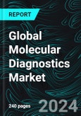 Global Molecular Diagnostics Market Report by Technology Application Product End Users Countries and Company Analysis 2024-2032- Product Image
