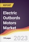 Electric Outbords Motors Market Report: Trends, Forecast and Competitive Analysis to 2030 - Product Image